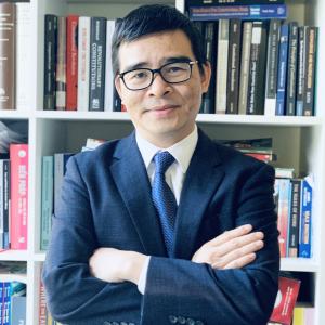 Professor Ngoc Son Bui
